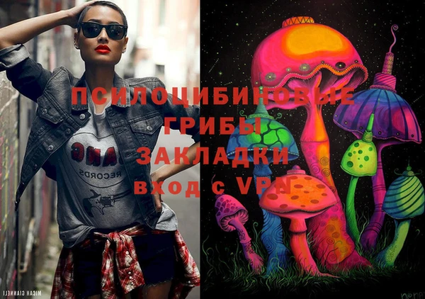 стафф Баксан